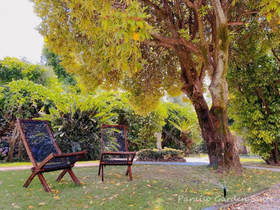 Paraiso Garden Suite--- Spacious & Downtown Porto Kültér fotó